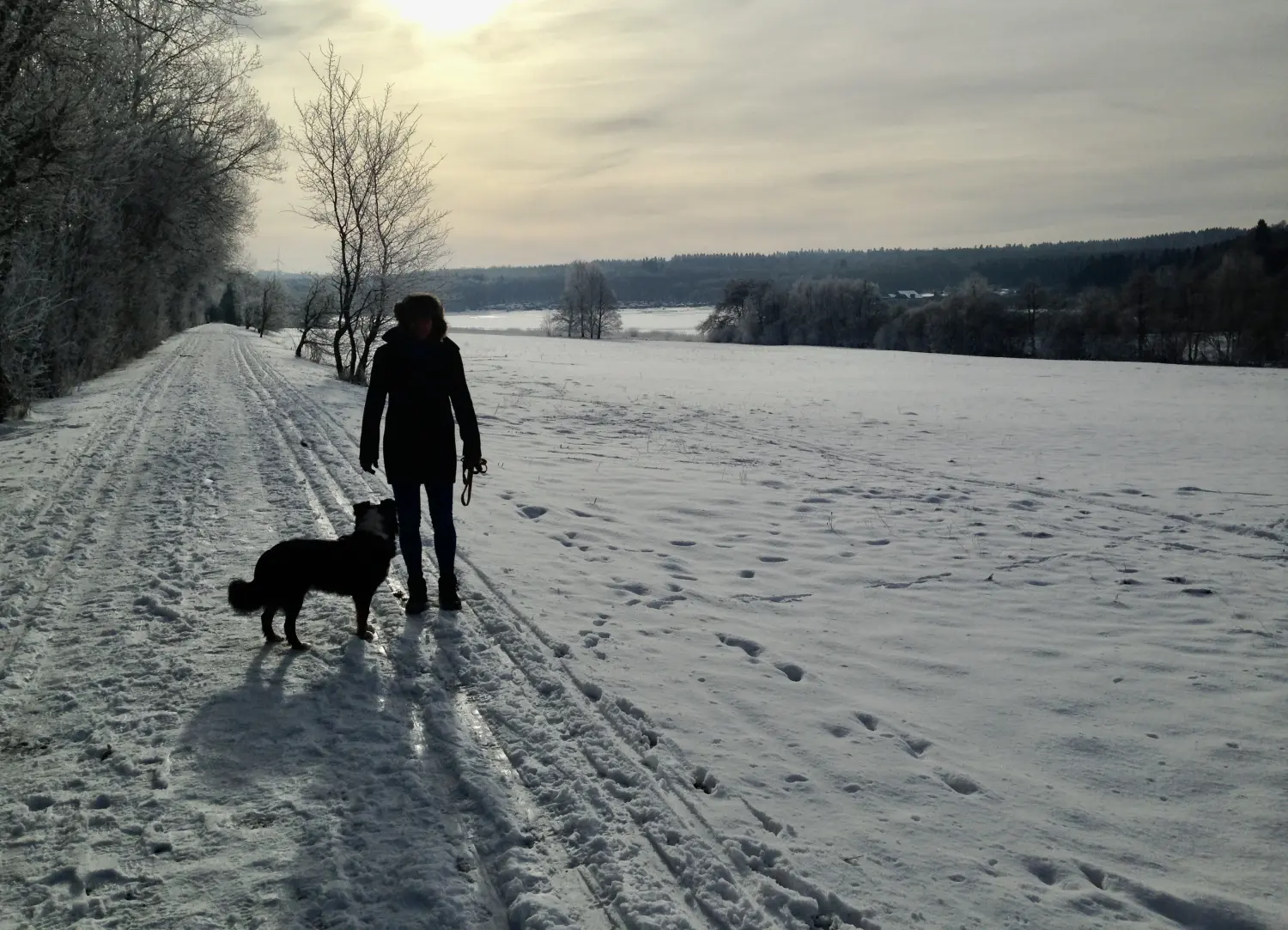  Ulrich Stahl - Winterzeit, Hund und Herrchen im Freien